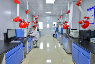 斯坦德檢測再次榮獲青島市“專精特新”稱號，生物農藥技術研發成果獲肯定